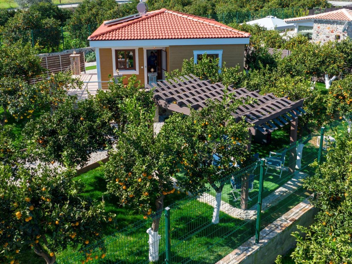 Desa Green Homes Epidaurus Eksteriør billede