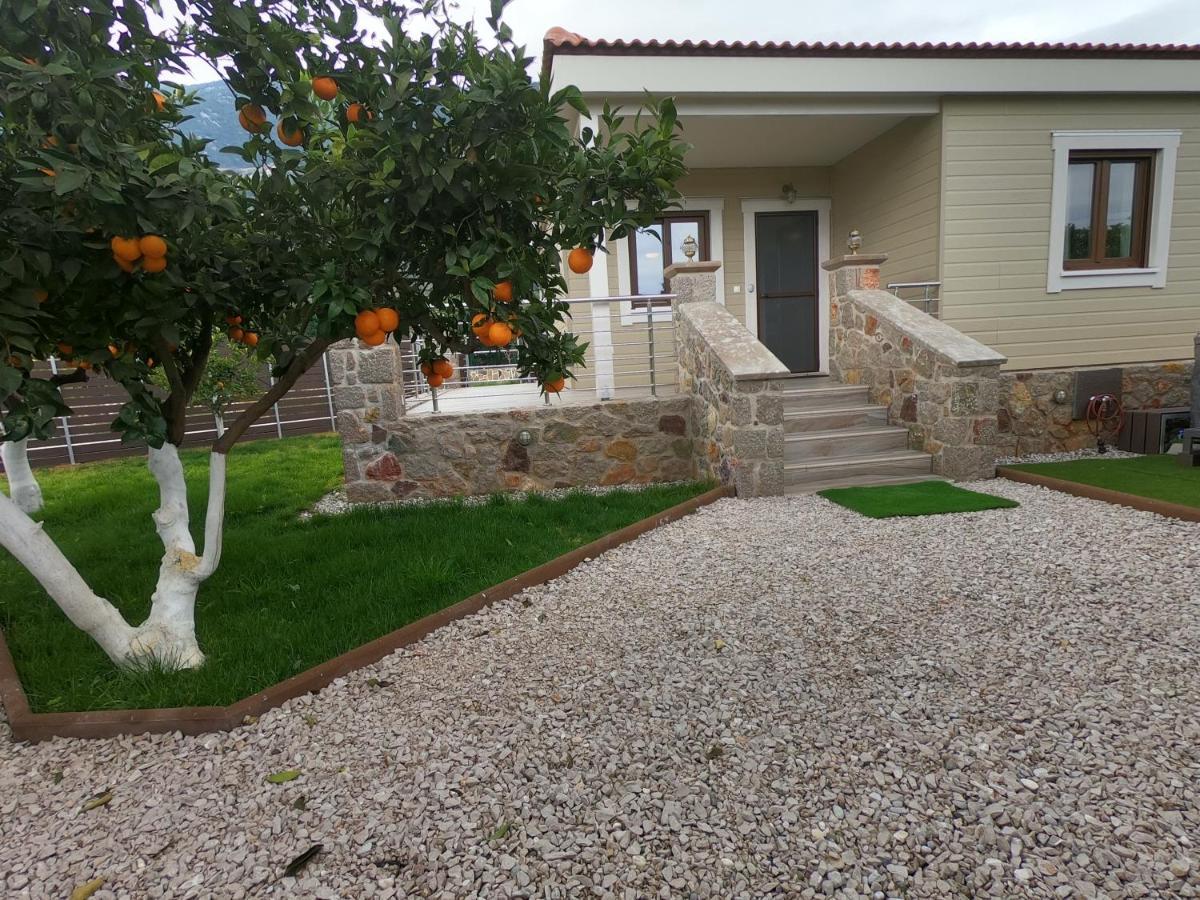 Desa Green Homes Epidaurus Eksteriør billede